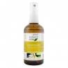 YOUR NATURAL SIDE WODA CHAMPAKA 30ML SPRAY