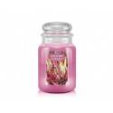 KRINGLE CANDLE ŚWIECA COUNTRY HEATHER 680G