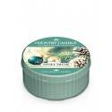 COUNTRY CANDLE ŚWIECA TINSEL THYME 35G