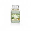 YANKEE CANDLE ŚWIECA AFTERNOON ESCAPE 623G