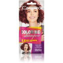 DELIA CAMELEO SZAMPON SZAMPONETKA KOLORYZUJĄCY 40ML 5.6
