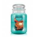 COUNTRY CANDLE ŚWIECA BLUEBERRY FRENCH TOAST 680G