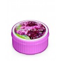 COUNTRY CANDLE WOSK ZAPACHOWY 35G FRESH LILAC