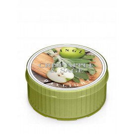 COUNTRY CANDLE WOSK ZAPACHOWY 42G CRISP APPLE & SAGE