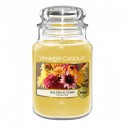 YANKEE CANDLE ŚWIECA GOLDEN AUTUMN 623G