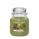 YANKEE CANDLE ŚWIECA AUTUMN NATURE WALK 411G
