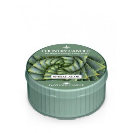 COUNTRY CANDLE ŚWIECA 42G SPIRAL ALOE
