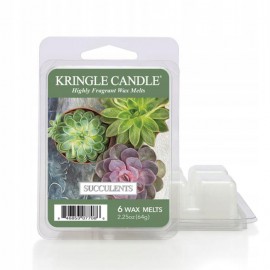 KRINGLE CANDLE WOSK ZAPACHOWY 64G SUCCULENTS