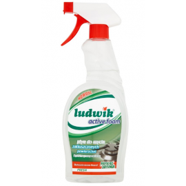 LUDWIK PŁ.CZYSZ.750ML POW.TŁ.F