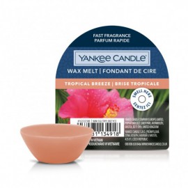 YANKEE CANDLE WOSK 22G TROPICAL BREEZE