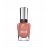 SALLY HANSEN LAKIER SALON MANICURE 14,7ML 260