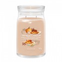 YANKEE CANDLE SIGNATURE ŚWIECA 567G PUMPKIN MAPLE, CREME CARAMEL
