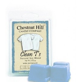 CHESTNUT HILL WOSK CLEAN T'S 85G 