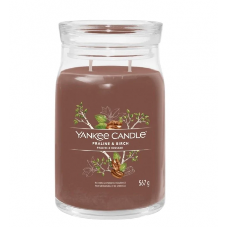 YANKEE CANDLE SIGNATURE ŚWIECA 567G PRALINE& BIRCH