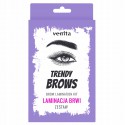 VENITA TRENDY BROWS ZESTAW DO LAMINACJI BRWI