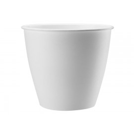 GALICJA AZALIA DONICZKA 17CM 20555 BIAŁY