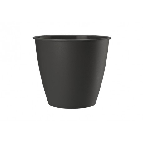 GALICJA AZALIA DONICZKA 19CM 20560 ANTRACYT