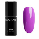 NEONAIL LAKIER HYBRYDOWY 7,2ML FEEL DIVINE