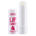 DELIA LIP CARE POMADKA OCHRONNA DO UST 4.9G ARBUZ