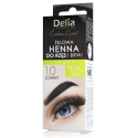 DELIA ŻELOWA HENNA DO BRWI I RZĘS CZARNY 1.0