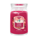YANKEE CANDLE APRES SKI ŚWIECA 567G SANTA ON SKIS