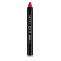 PAESE LIP CRAYON INTENSE MATTE FINISH POMADKA DO UST W SZTYFCIE 63