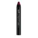 PAESE LIP CRAYON INTENSE MATTE FINISH POMADKA DO UST W SZTYFCIE 61