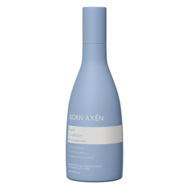 BJORN AXEN ODŻ/WŁ 250ML DO WŁOSÓW ZNISZCZONYCH
