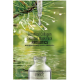 NO'HJ MAS/TW 26G BOTANICAL COLLAGEN FUCOIDAN PROBIOTICS
