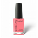 KINETICS LAK/PAZN SOLARNY 15ML 576