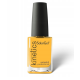 KINETICS LAK/PAZN SOLARNY 15ML 651