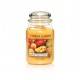 YANKEE CANDLE ŚWIECA 623G MANGO PEACH SALSA