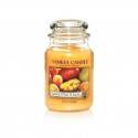 YANKEE CANDLE ŚWIECA 623G MANGO PEACH SALSA