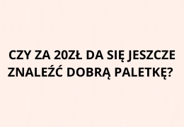 Czy za 20 zł da się jeszcze znaleźć dobrą paletkę?
